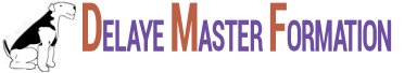 Logo Delaye MAster Formation