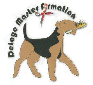 Illustration Delaye Master Formation