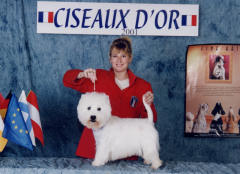 Concours toilettage 2001