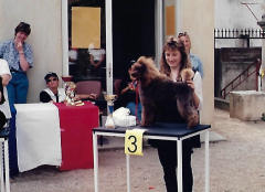 Concours toilettage 1993