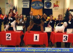 Concours toilettage 2006